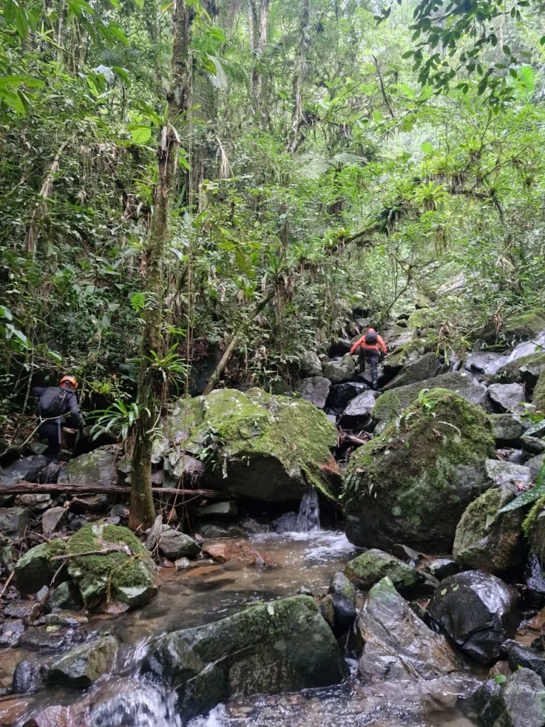 Sem sucesso, bombeiros encerram buscas a homem que desapareceu após entrar em área de mata em Rodeio
