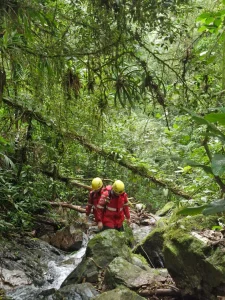 Sem sucesso, bombeiros encerram buscas a homem que desapareceu após entrar em área de mata em Rodeio