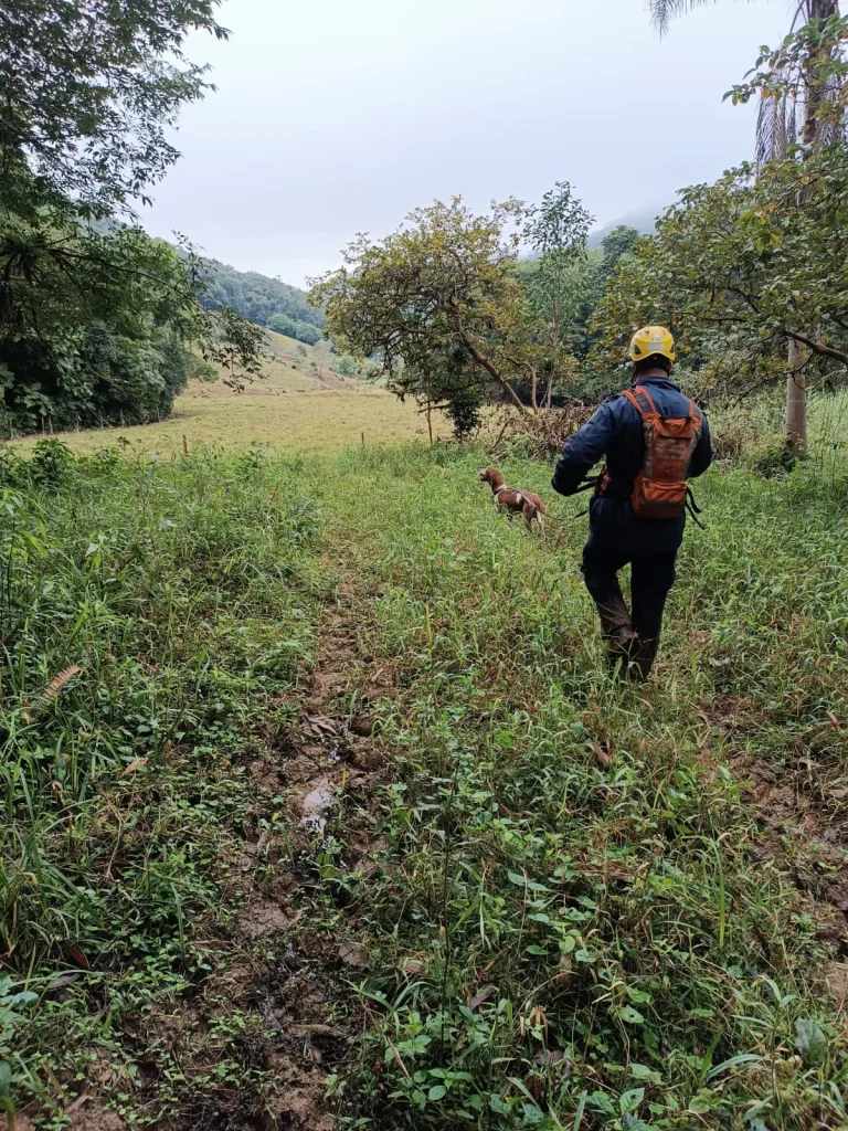 Sem sucesso, bombeiros encerram buscas a homem que desapareceu após entrar em área de mata em Rodeio