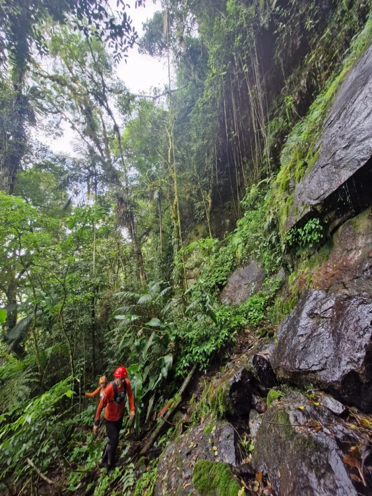 Sem sucesso, bombeiros encerram buscas a homem que desapareceu após entrar em área de mata em Rodeio