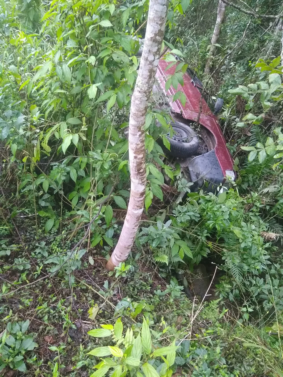 Carro sai da pista e tomba na SC-427, em Taió; idosa de 77 anos ficou ferida no acidente