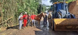 Bombeiros Voluntários de Vitor Meireles resgatam cavalo em rio