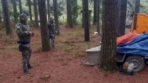 Polícia flagra caça ilegal de animais silvestres em Bom Retiro