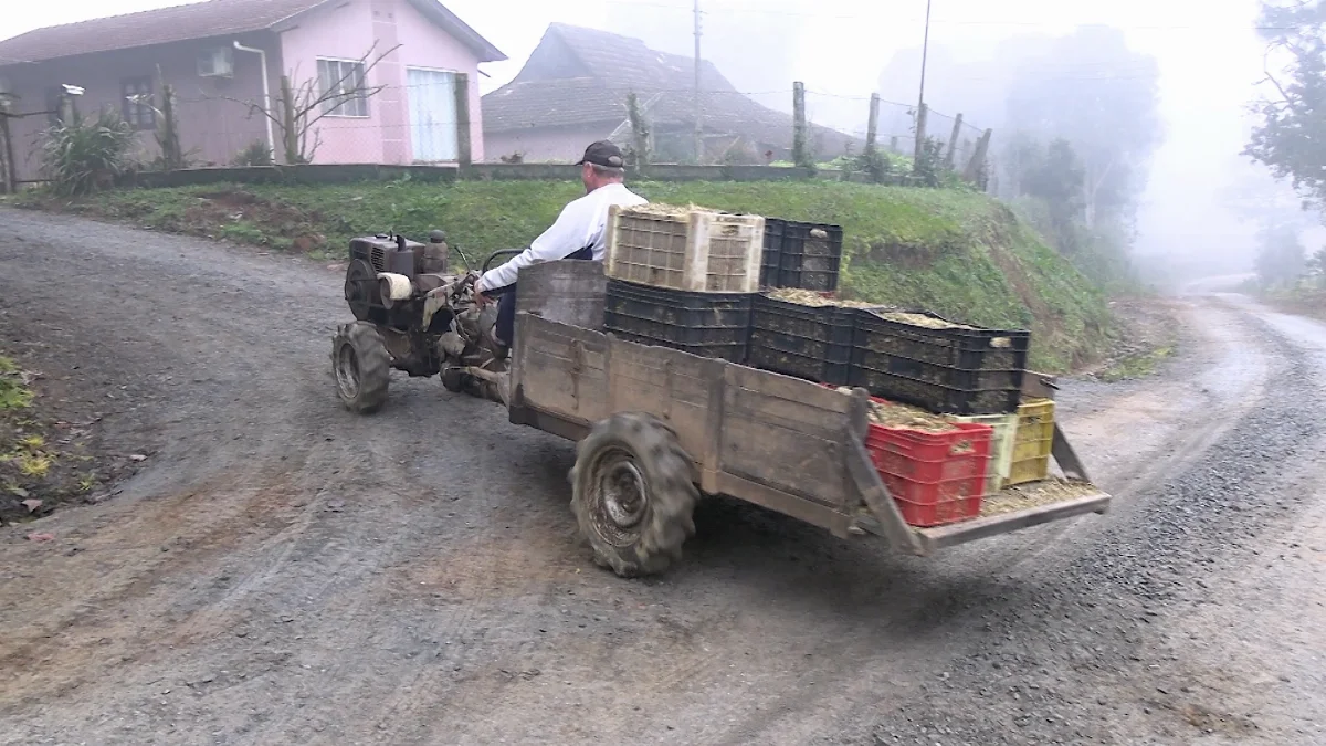 Produtor mostra um pouco da rotina de quem levanta cedo