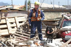 Zaara, a cadela de busca e resgate do Corpo de Bombeiros Militar, encerra sua trajetória operacional com reconhecimento e emoção