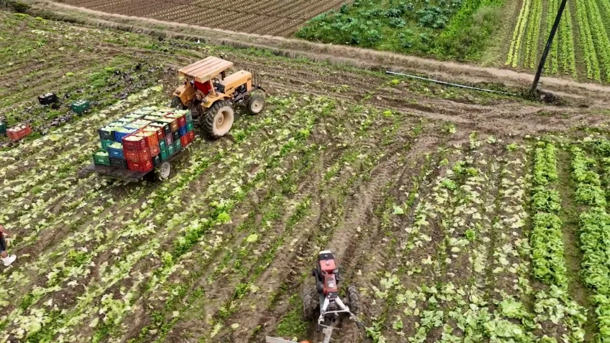 Santa Catarina tem o menor índice de insegurança alimentar do Brasil