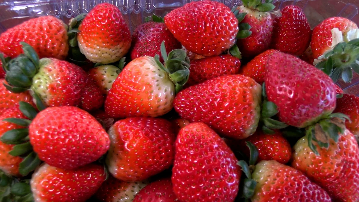 Procura pela fruta cresce devido ao novo doce do momento