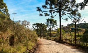 Santa Catarina registra grande amplitude térmica ao longo desta semana