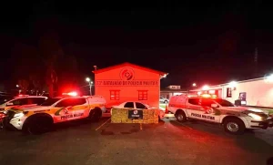 Polícia Militar registra recorde de apreensões de drogas nas rodovias estaduais no 1º semestre de 2025