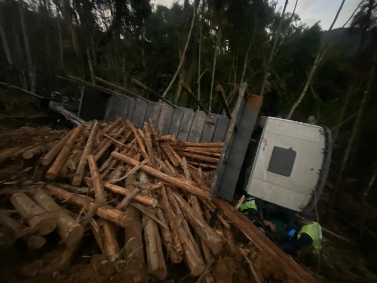 Caminhão carregado com toras cai em ribanceira de 10 metros em Rio do Sul