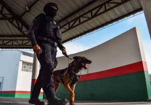 GOC do DEASE: a força que une segurança, reeducação e empatia com cães do sistema socioeducativo de SC