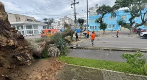 Rajadas de vento ultrapassam 90 km/h em SC e causam transtornos em algumas cidades