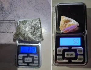 Casal é detido por tráfico de drogas, abandono de incapaz e por crime ambiental em Rio do Sul
