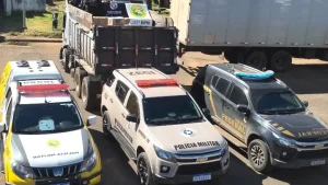 Caminhão com sete toneladas de camarão e 50 mil carteiras de cigarro é apreendido em ação conjunta
