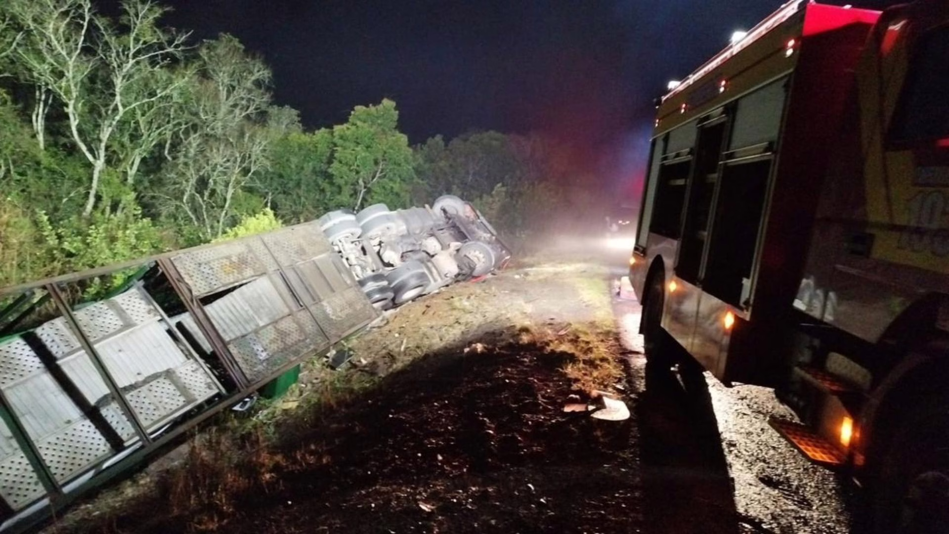 Motorista morre após sofrer acidente com caminhão-cegonha na BR-470