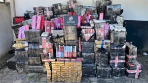 Quase quatro toneladas de maconha são apreendidas em Massaranduba