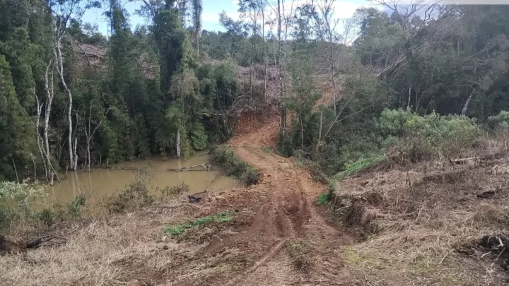 3 1755110445
