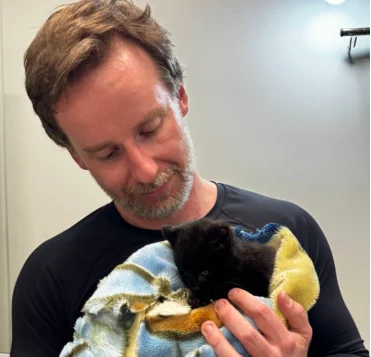 Animal raríssimo: gato-do-mato melânico é encontrado em Jaraguá do Sul