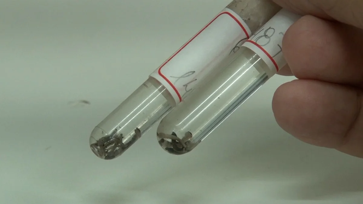 Dengue Rsl E Sc.00 03 12 12.quadro003