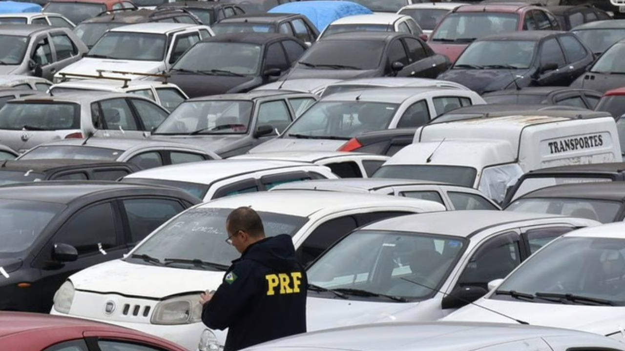 Lotes à venda em leilão da PRF/SC podem ser visitados a partir de amanhã (19), em Lages