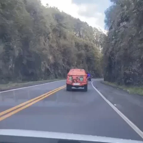 Saveclip.app 528643377 18049269653545841 8977599400212409570 N (1)