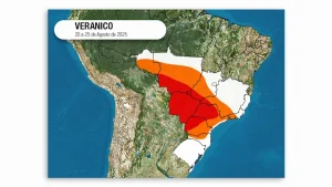 Sequência 01.00 07 12 21.quadro012