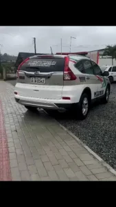 Homem é preso em Barra Velha acusado de matar e consumir cães, gatos e até ratos