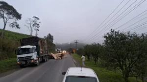 Caminhão perde parte de carga de madeira na SC-340, em Witmarsum