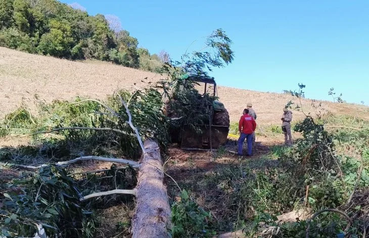 Homem de 67 anos morre após ser atingido por árvore em SC