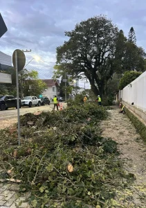 Prefeitura de Rio do Sul fecha trecho da Alameda Bela Aliança para corte de árvores no domingo (31)