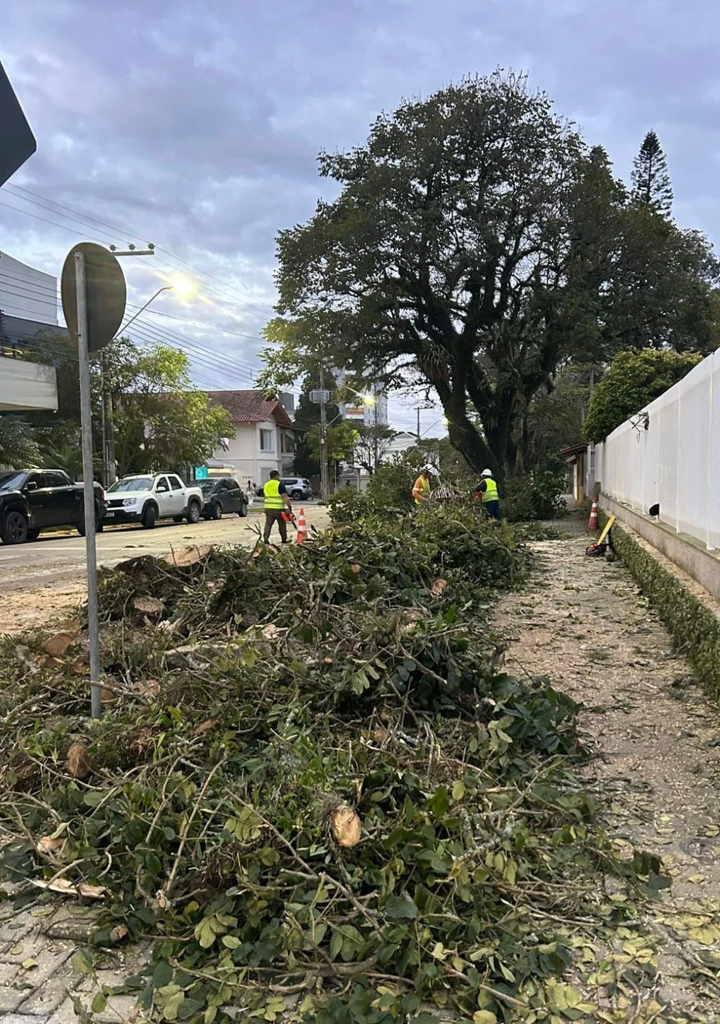Prefeitura de Rio do Sul fecha trecho da Alameda Bela Aliança para corte de árvores no domingo (31)