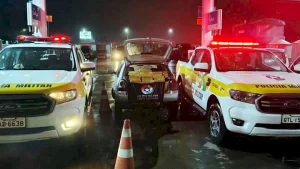 Quatro mil maços de cigarro são apreendidos em Chapecó