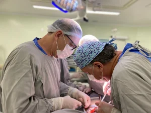 Cepon registra aumento de 38% em cirurgias e ampliação da radioterapia no primeiro semestre de 2025