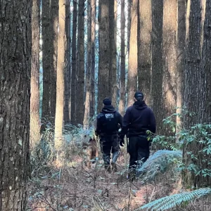 Polícia Civil intensifica buscas por jovem desaparecida em Santa Cecília