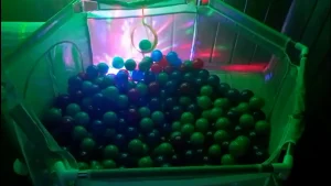 Mãe de Vitor Meireles cria mais um espaço para ajudar filho autista