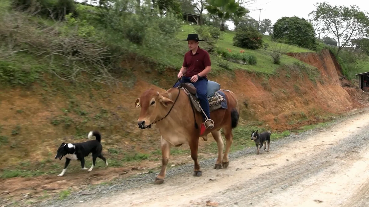 "Piá do boi". Jovem de Rio do Oeste leva "animal de estimação" até para cavalgadas