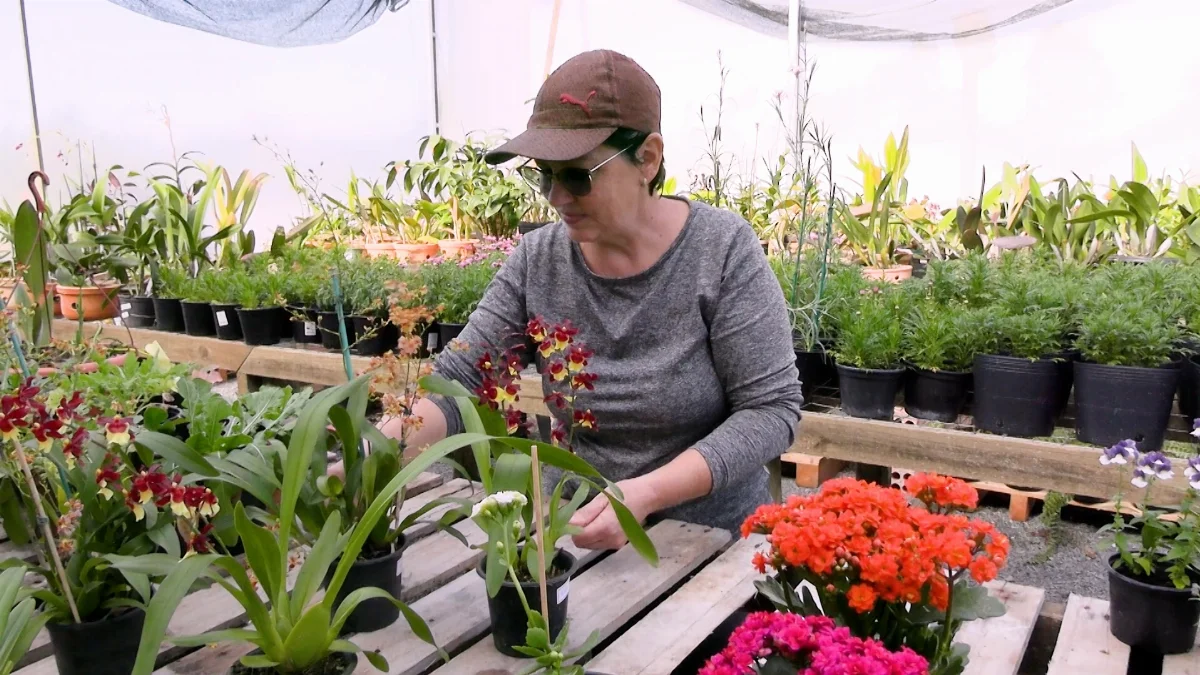 Agricultora de Trombudo Central transforma passatempo em negócio