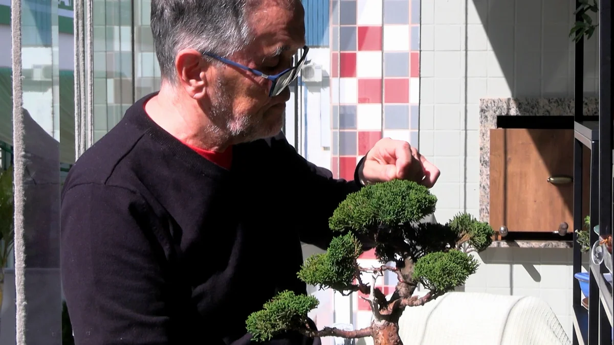 Cultivo das plantas ajuda "Gringo", ex-RBA, no processo pós-câncer