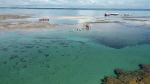 Que tal encerrar o ano vivendo dias incríveis em um dos destinos mais encantadores do Brasil?