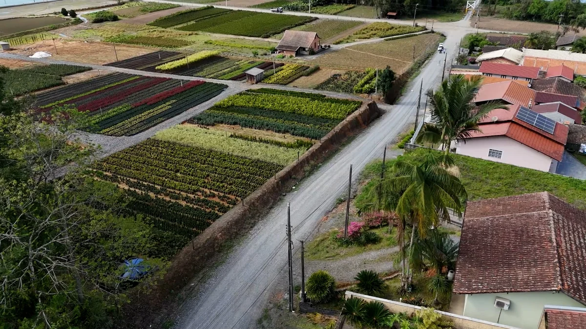 Prefeitura vai realizar a pavimentação da rua Inês Busnardo