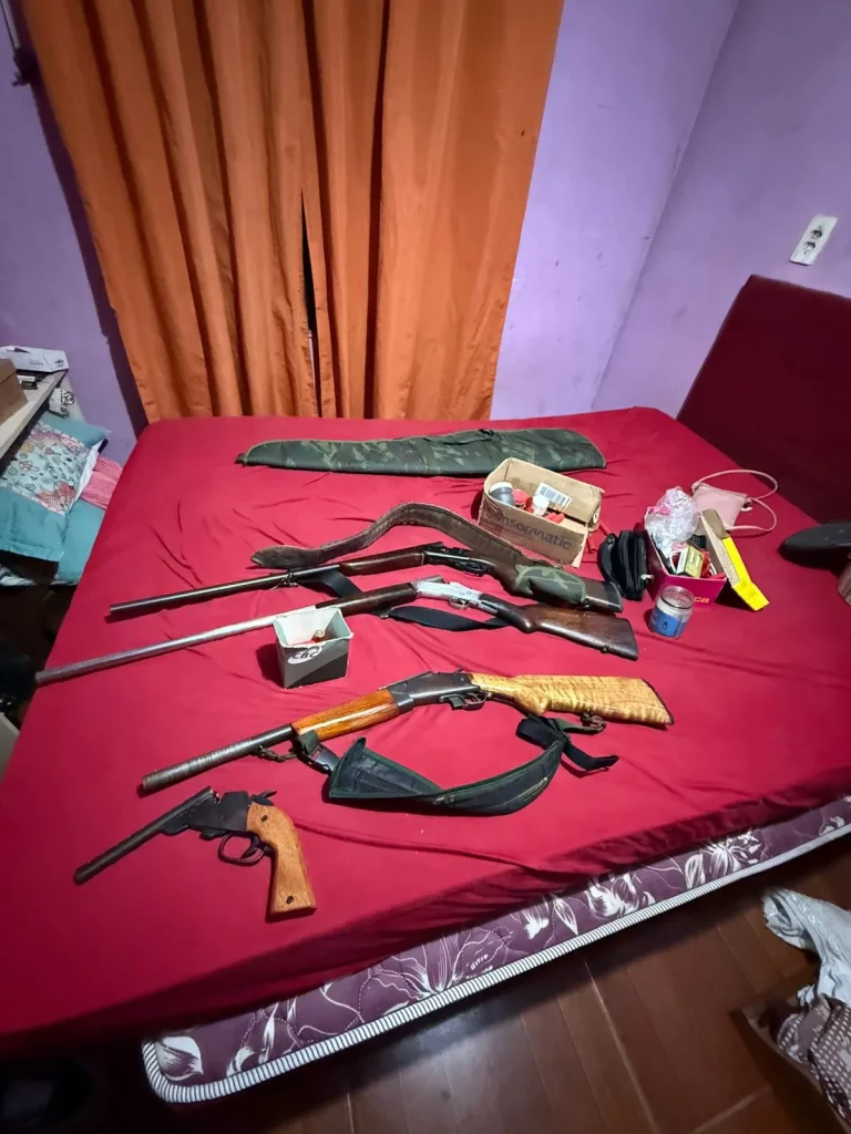 Polícia Civil prende dois homens por posse ilegal de armas de fogo, em Apiúna