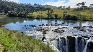 Bombeiros resgatam cão preso em cachoeira de 40 metros em Bom Jardim da Serra
