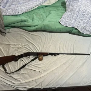 Polícia Civil apreende arma de fogo após denúncia de violência doméstica, em Rio do Sul