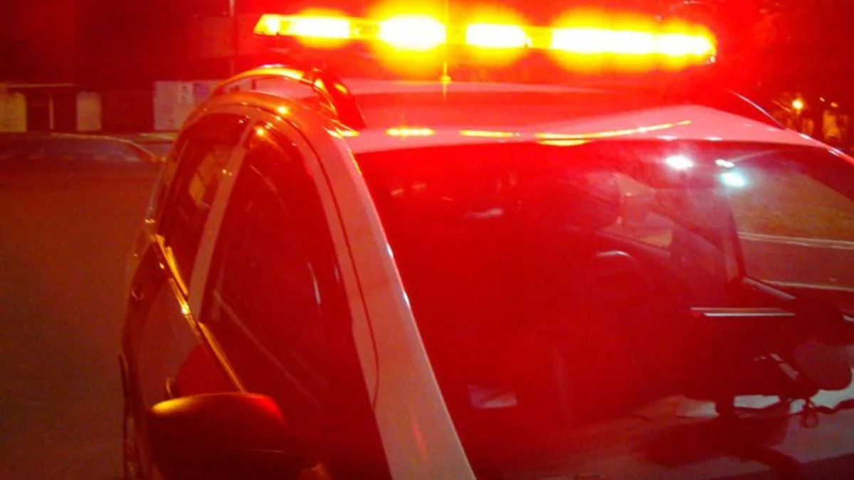 Homem é preso em flagrante por abusar sexualmente de cão, em Apiúna