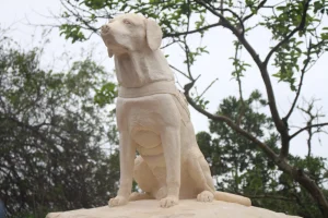 Ice, o primeiro cão guarda-vidas do Brasil, ganha monumento em Itajaí
