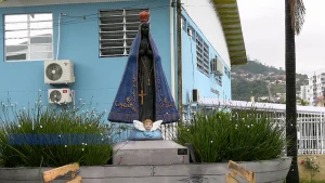 Jr 0210 B7.00 06 37 20.quadro022