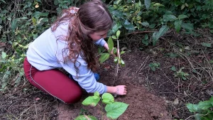 Jr 0210 B7.00 07 54 15.quadro005