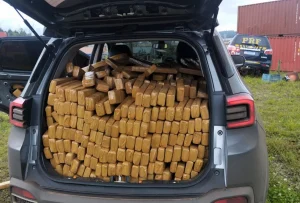 PRF intercepta em Itajaí mais de uma tonelada de maconha que iria para Florianópolis