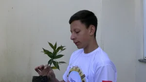 Sequência 01.00 06 49 06.quadro004