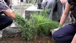 Xô, dengue! 🦟💪 Estudantes ajudam no plantio de plantas repelentes em Rio do Oeste